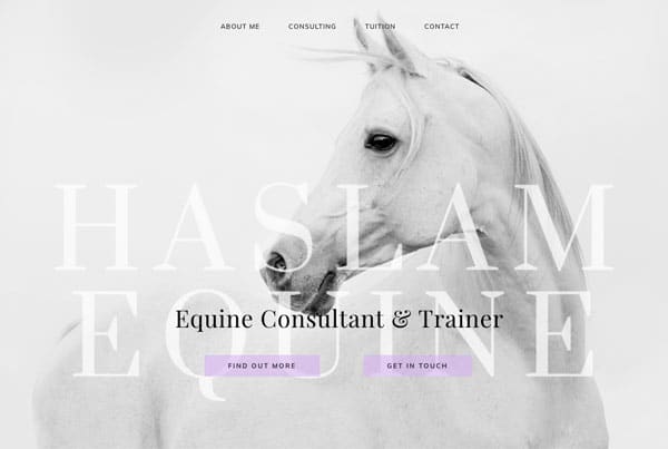 Equine Trainer